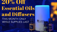 SHOPAMERICA AD FOR WEBSITE