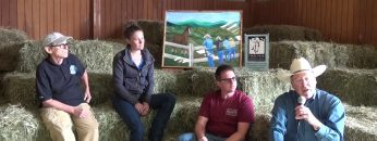 Equine Therapy Watch Melissa, Shannon, Chester , Bill