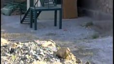 Frisbee Golf Tournament at FOB Lion in Panjshir Province, Afghanistan