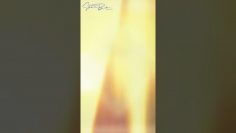 My attempt to make a video for Dear Mom ©️Shannon Book.