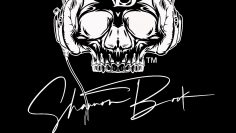 Songwriter Story Time by Shannon Book