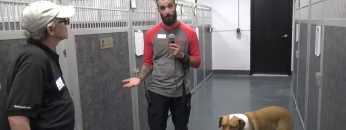 Watch Michael Connors, Iraq Afghan Syria Vet Walter Reed patient Freedom Service Dogs Trainer