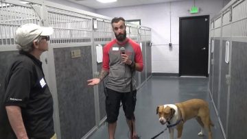 Watch Michael Connors, Iraq Afghan Syria Vet Walter Reed patient  Freedom Service Dogs Trainer